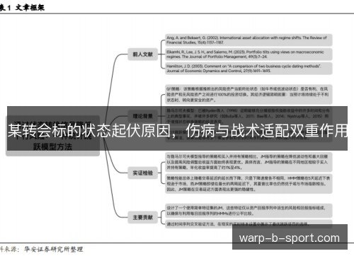 某转会标的状态起伏原因，伤病与战术适配双重作用